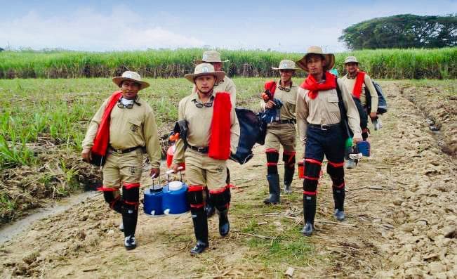 Sugar quality laboratory testing